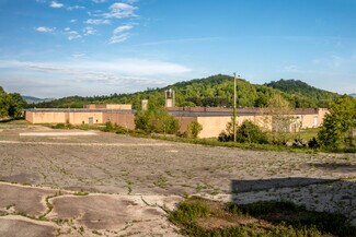 Plus de détails pour 110 One Genesis Way, Spruce Pine, NC - Industriel à vendre