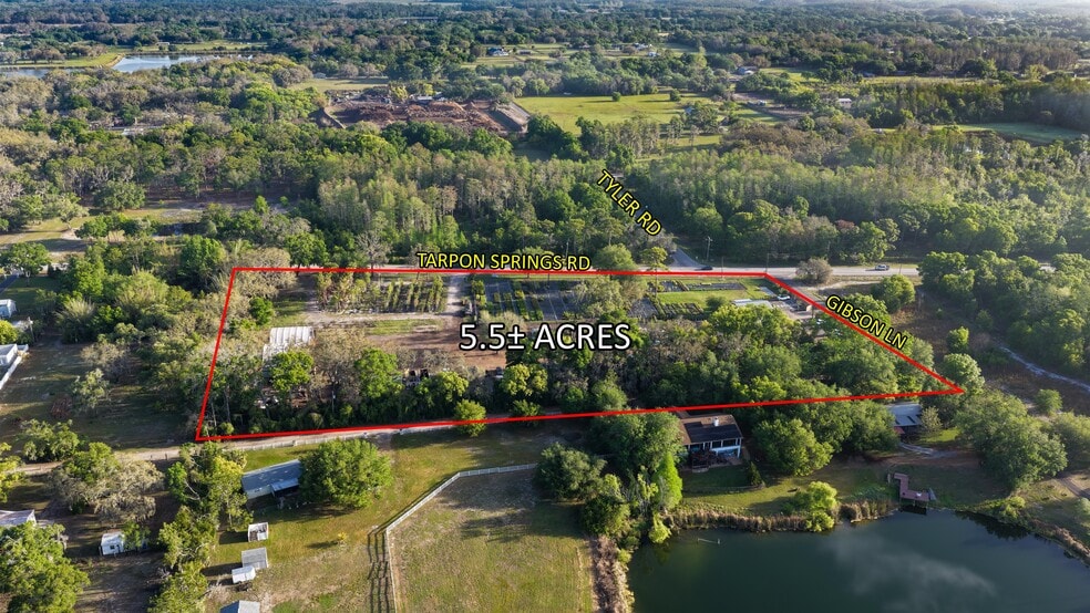 12980 Tarpon Springs Rd, Odessa, FL à vendre - Aérien - Image 3 de 4