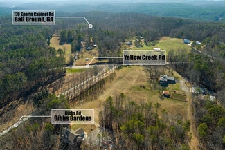 Plus de détails pour 170 Sperin Cabinet Rd, Ball Ground, GA - Terrain à vendre