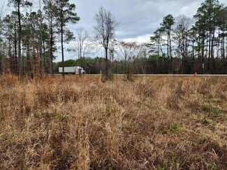 More details for 8055 US-17, Vanceboro, NC - Land for Sale