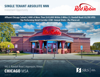 More details for 441 S Randall Rd, Algonquin, IL - Retail for Sale