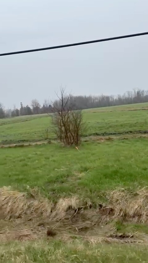 202262 HWY 21, Owen Sound, ON for sale Building Photo- Image 1 of 1