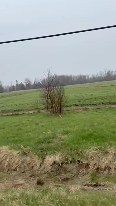 202262 HWY 21, Owen Sound, ON à vendre Photo du bâtiment- Image 1 de 1