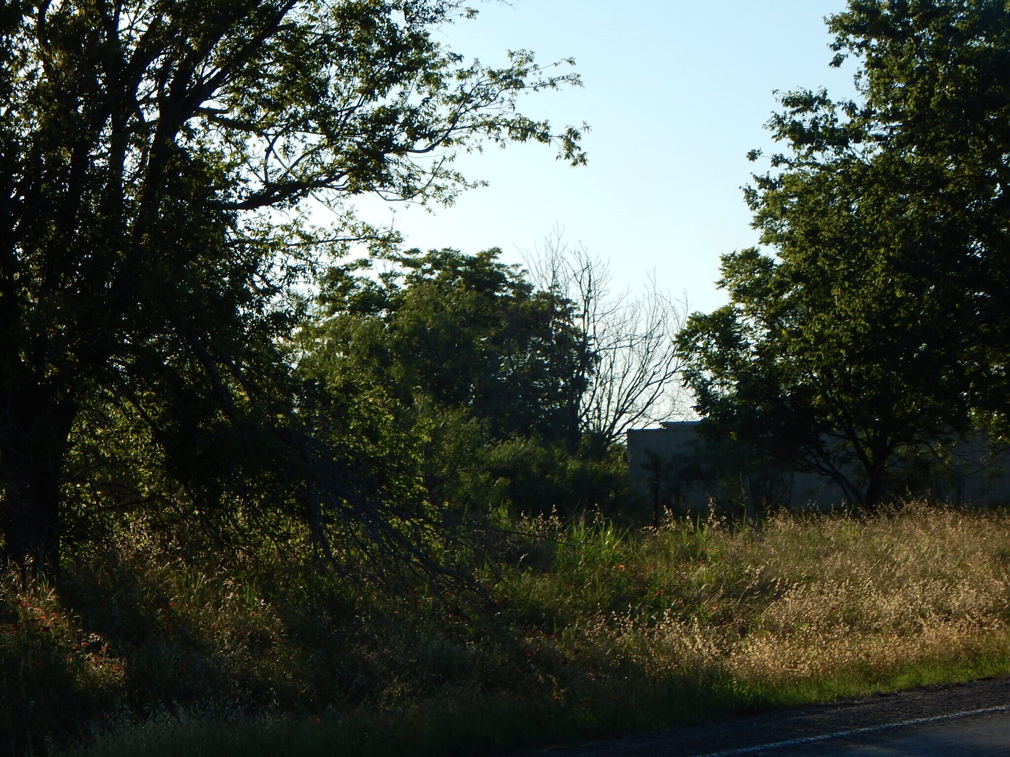 20441 FM 2268, Holland, TX for sale Primary Photo- Image 1 of 1