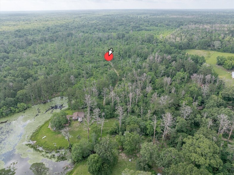 224 Stock Landing Rd, Deville, LA for sale - Other - Image 2 of 9