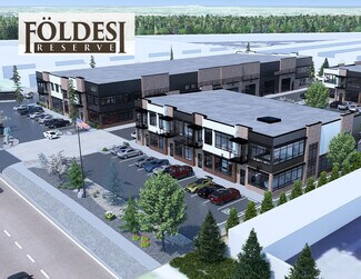 Plus de détails pour 3915 N Ten Mile Rd, Meridian, ID - Local d'activités à louer