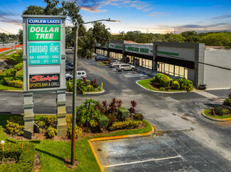 Plus de détails pour 31075-31077 U.S. Highway 19 N, Palm Harbor, FL - Vente au détail à louer