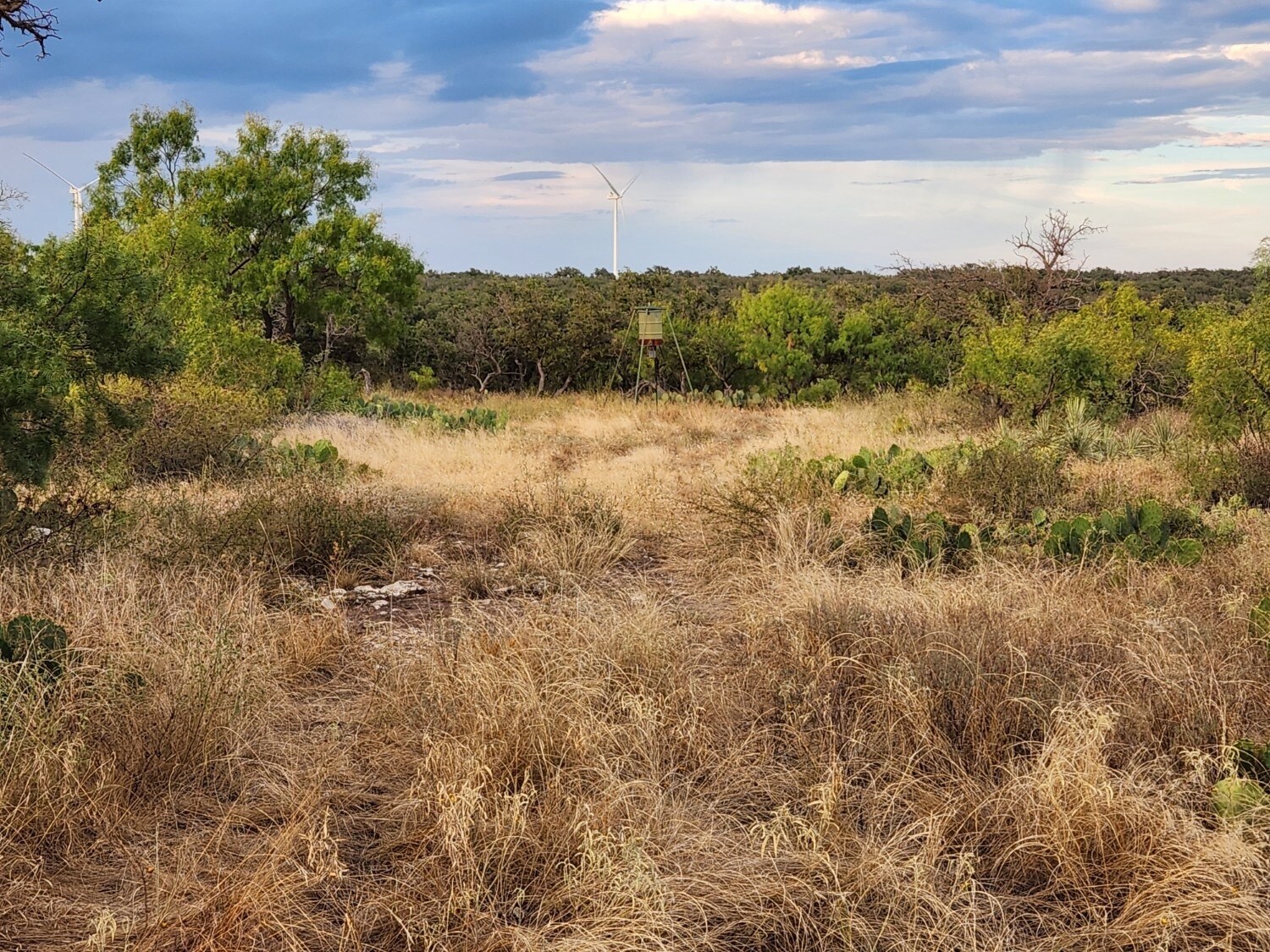 6249 Ranch Road 2402, Eden, TX for sale Primary Photo- Image 1 of 8