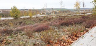 Plus de détails pour Calle Emilio Alarcos, 3, Salamanca - Terrain à louer