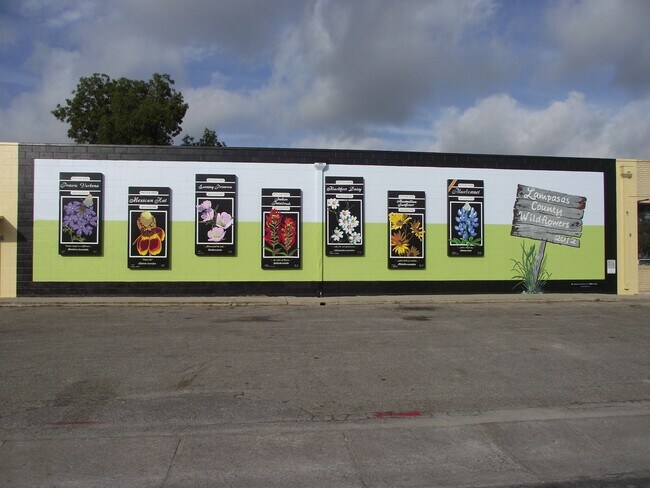 Plus de détails pour 516 E 4th St, Lampasas, TX - Commerce de détail à vendre