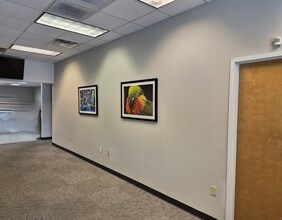 9051 Florida Mining Blvd, Tampa, FL for lease Interior Photo- Image 2 of 3