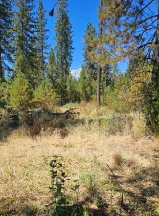 More details for 12 Parkside Court, Mccloud, CA - Land for Sale