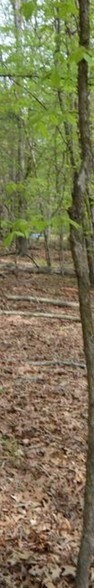 0 Whipoorwill Rd, Pope, MS à vendre - Photo du bâtiment - Image 2 de 3