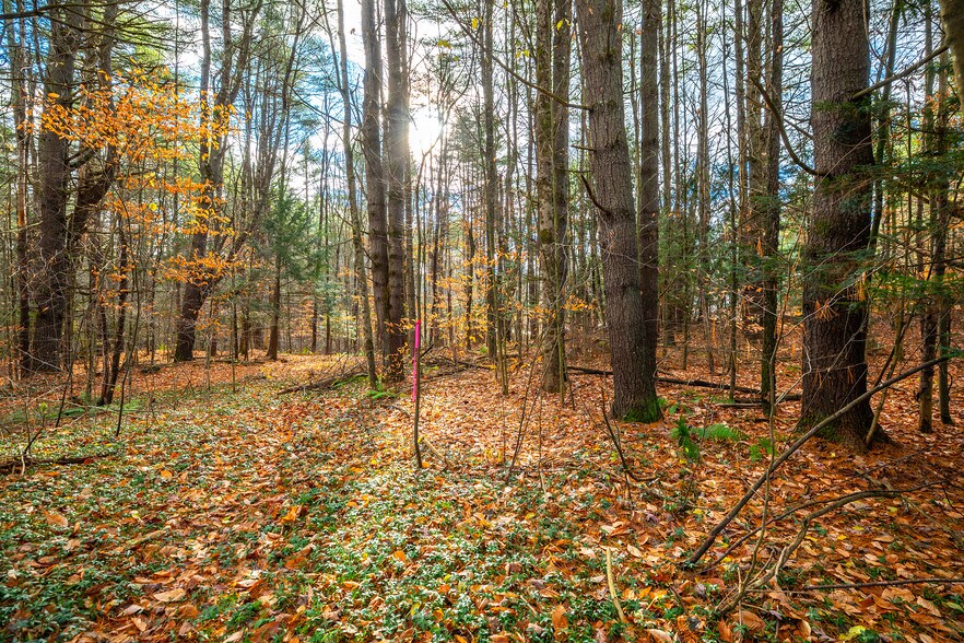 40 E Putney Brook Rd, Putney, VT à vendre - Photo intérieure - Image 2 de 31