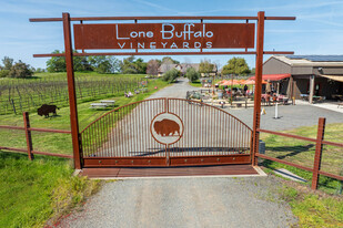 Lone Buffalo Vineyards - Vignoble