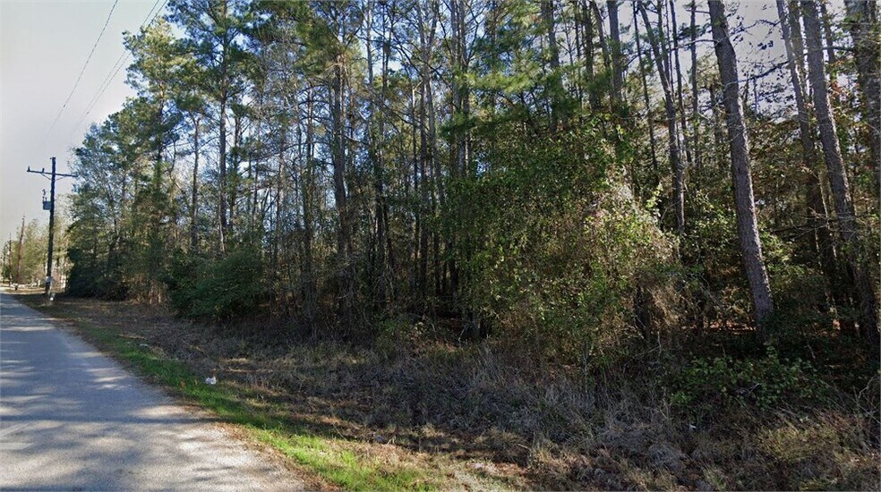 Coon Hollow Road Rd, Conroe, TX à vendre - Aérien - Image 2 de 2