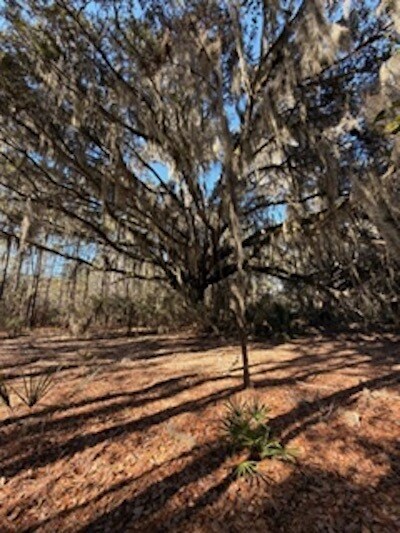 1007 May River Rd, Bluffton, SC à vendre - Photo du bâtiment - Image 2 de 27