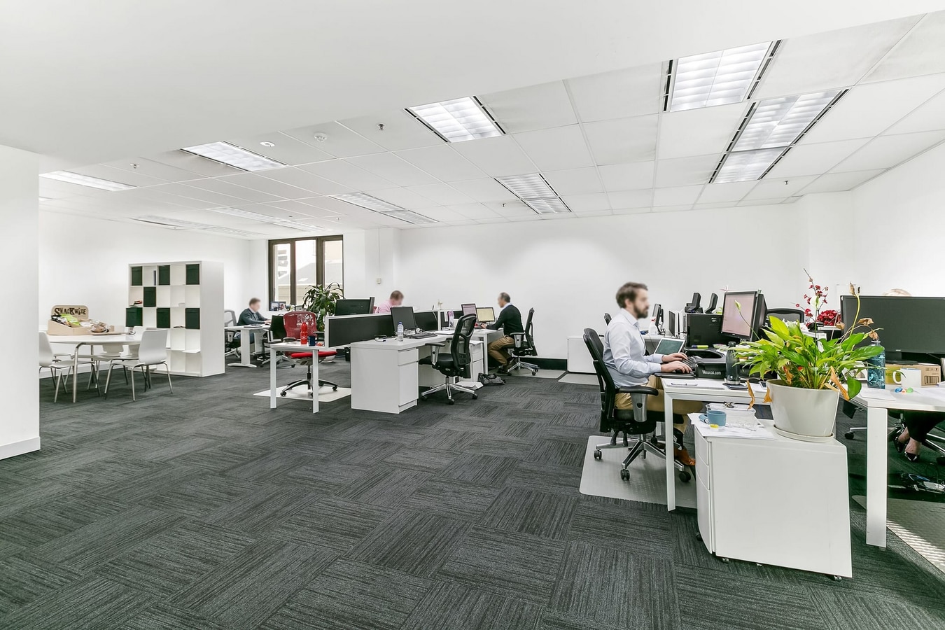 65 York St, Sydney, NSW 2000 - Unit 6 - - Interior Photo - Image 2 of 3