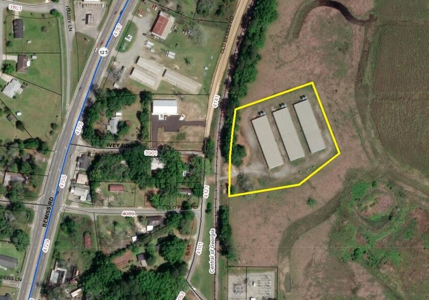 4130 Old Bemiss Rd, Valdosta, GA for sale - Aerial - Image 3 of 18