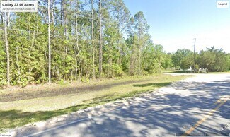 Plus de détails pour 3900 CR 315, Green Cove Springs, FL - Terrain à vendre