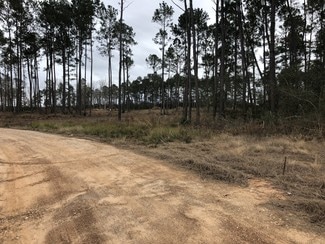 More details for 11900 Seven Coves Rd, Willis, TX - Land for Sale