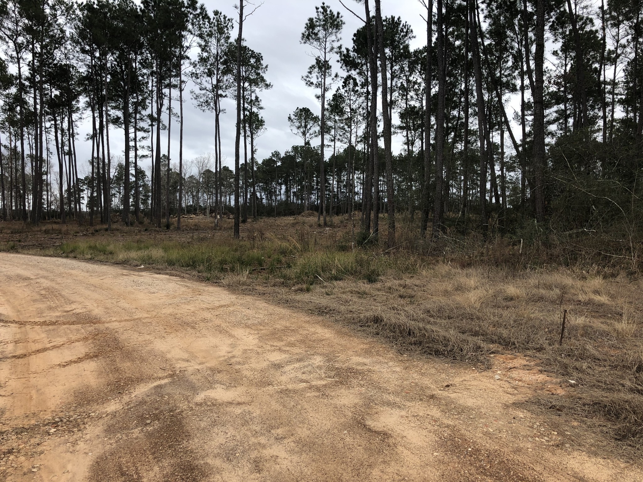 11900 Seven Coves Rd, Willis, TX for sale Other- Image 1 of 11