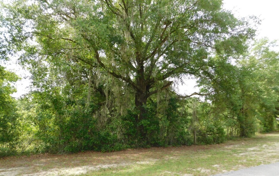 577 NW Hall of Fame dr, Lake City, FL à vendre - Photo du bâtiment - Image 2 de 6