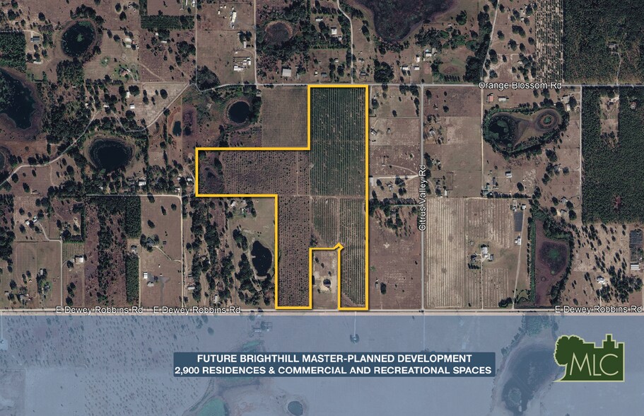 8923 Dewey Robbins Road, Howey in the Hills, FL à vendre - Photo principale - Image 1 de 3