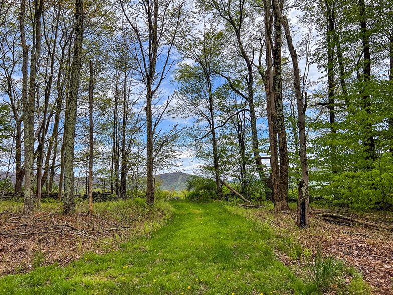 TBD State Highway 28, Andes, NY for sale - Primary Photo - Image 1 of 2