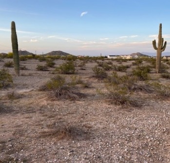 28951 N Queen Bee Ln, Queen Creek, AZ for sale Building Photo- Image 1 of 3