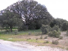 Land in Maello, Ávila for sale - Building Photo - Image 3 of 3