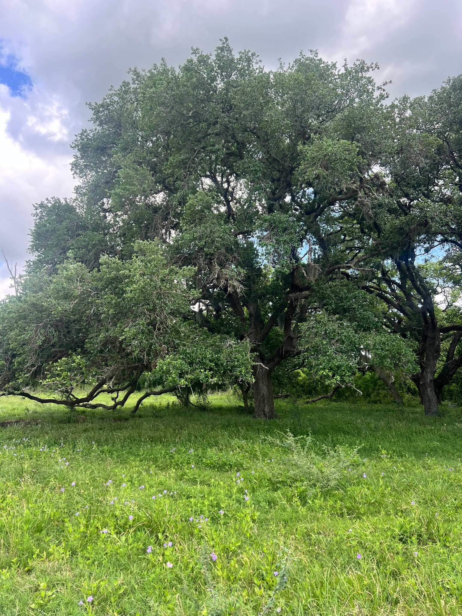 14113 Peters Rd, Needville, TX for sale Other- Image 1 of 5