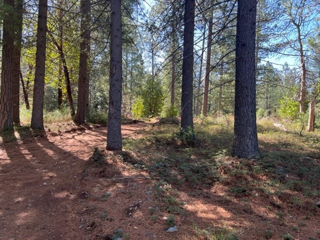 10715 Brunswick Rd, Grass Valley, CA for sale - Primary Photo - Image 1 of 6