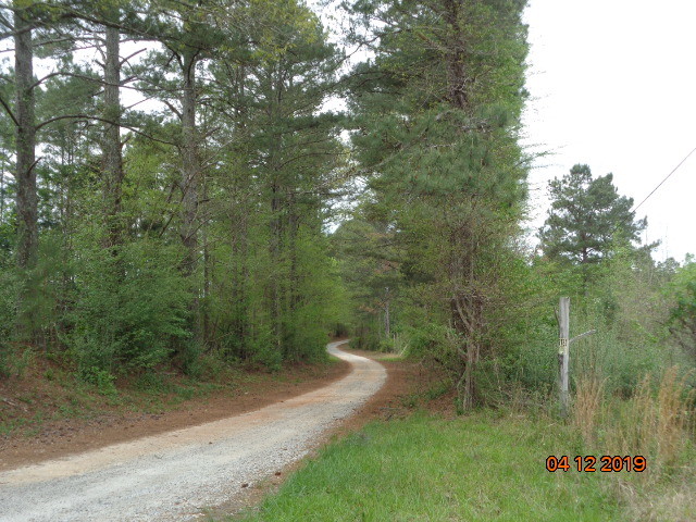 0 Garretts Ferry Rd, Palmetto, GA à vendre Photo du bâtiment- Image 1 de 1