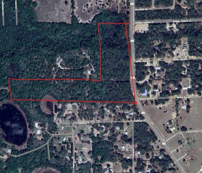 0 N County Road 315, Interlachen, FL à vendre - Photo principale - Image 1 de 1