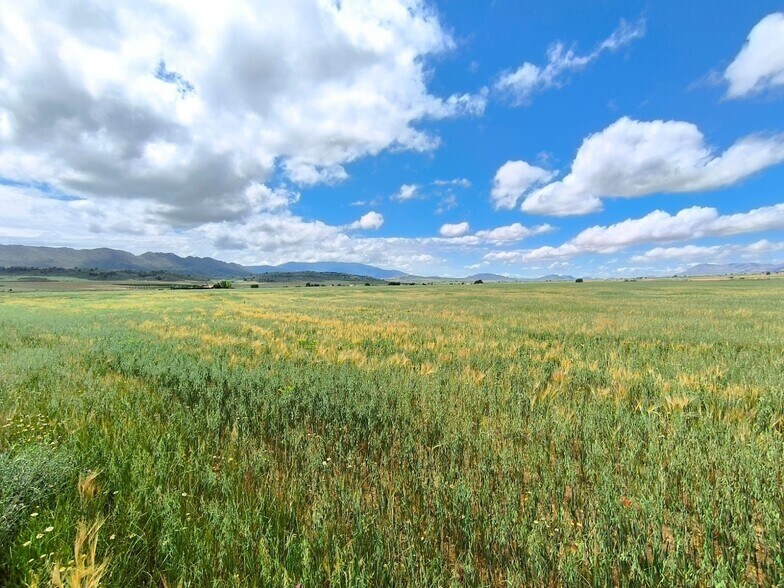 Terrain dans Yecla, Murcia à vendre - Aérien - Image 2 de 5