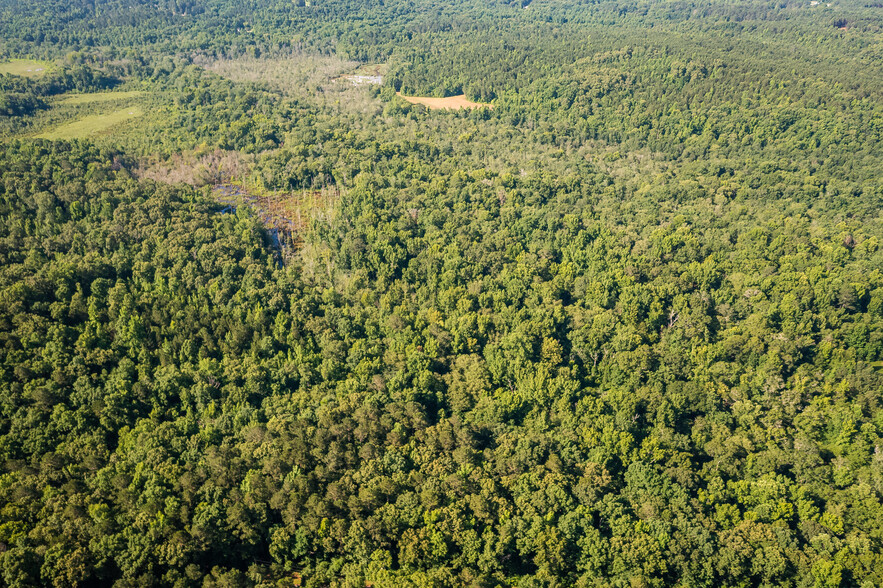 0 Bullock Bridge Rd, Monroe, GA for sale - Building Photo - Image 1 of 1