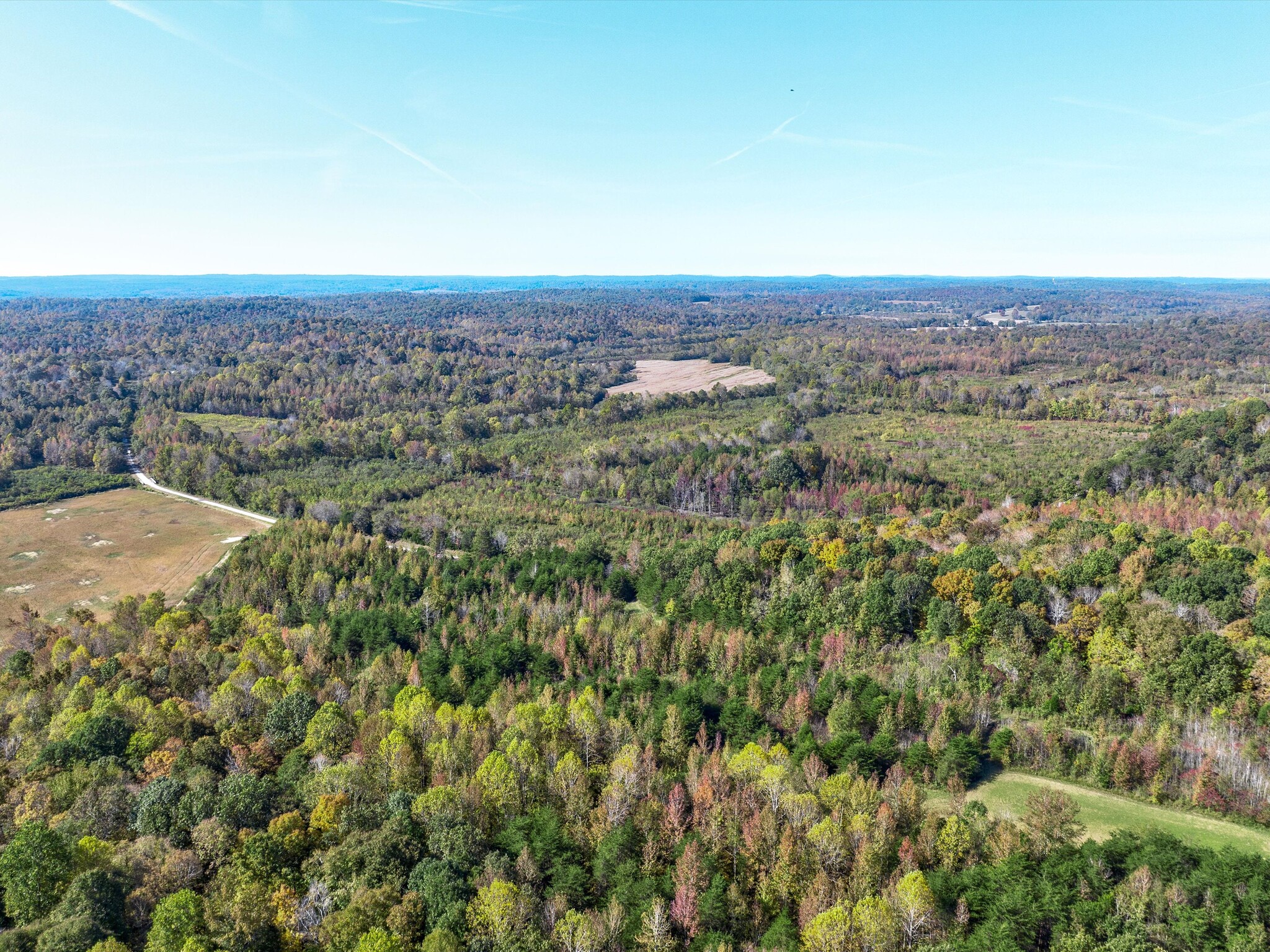 Cal-Hamby Road/Terry Cole Road, Saint Charles, KY for sale Primary Photo- Image 1 of 8