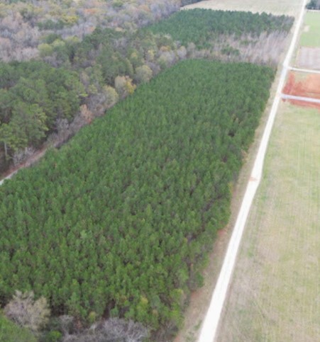 Priceville 30 acres on Old Branch Road, Decatur, AL for sale Primary Photo- Image 1 of 2