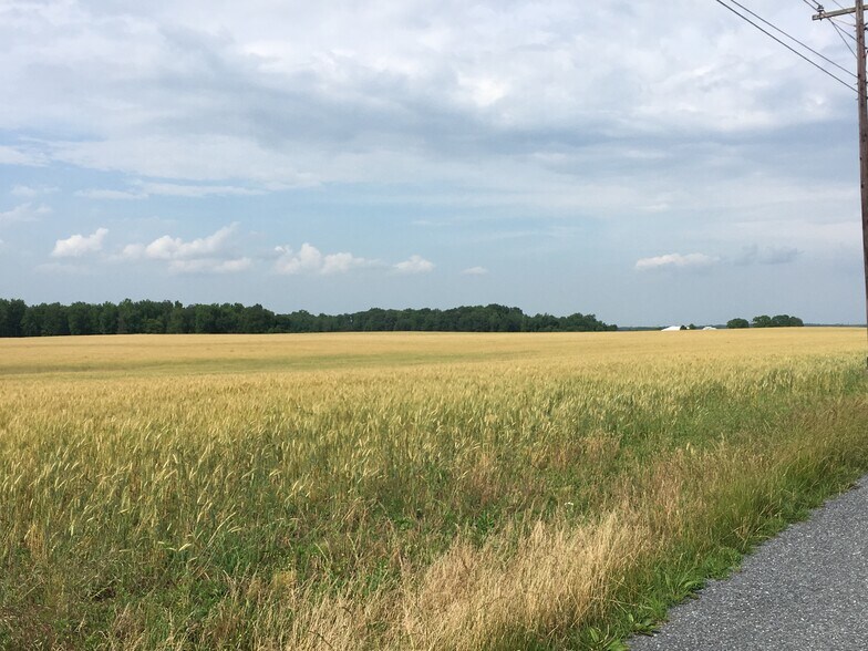 11670 Carroll Clark Rd, Massey, MD à vendre - Photo du bâtiment - Image 1 de 4