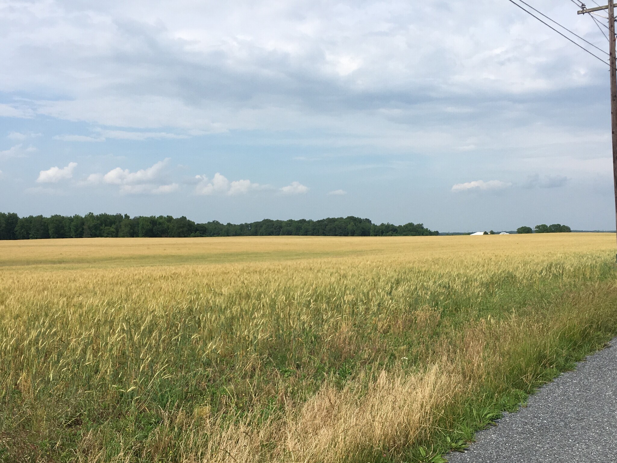 11670 Carroll Clark Rd, Massey, MD à vendre Photo du bâtiment- Image 1 de 5