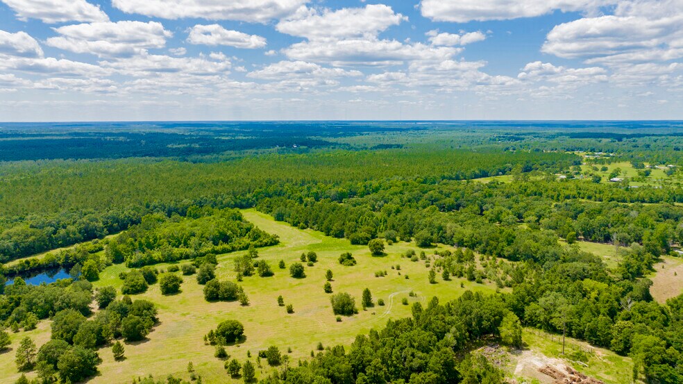 0 Red Feather Dr, Seminole, AL à vendre - Aérien - Image 2 de 8