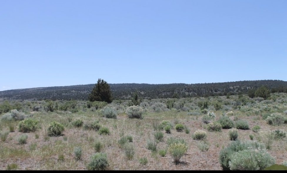 Westside Rd, Termo, CA à vendre - Photo du bâtiment - Image 1 de 3