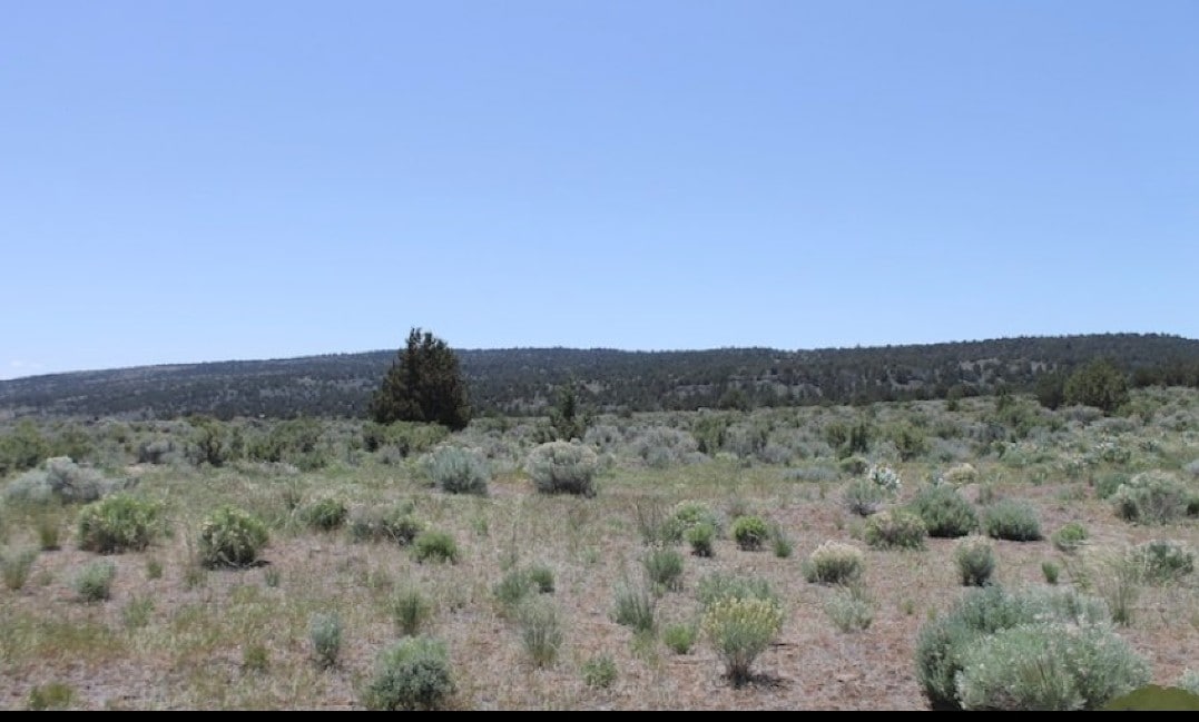 Westside Rd, Termo, CA à vendre Photo du bâtiment- Image 1 de 4