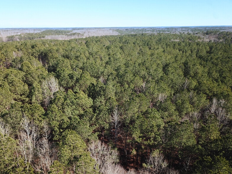 County Road 4141, New Site, MS for sale - Aerial - Image 2 of 3