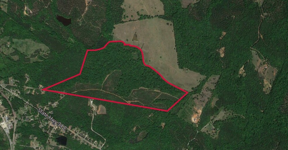 140 Acres Ridgeway, Ridgeway, SC for sale - Primary Photo - Image 1 of 1