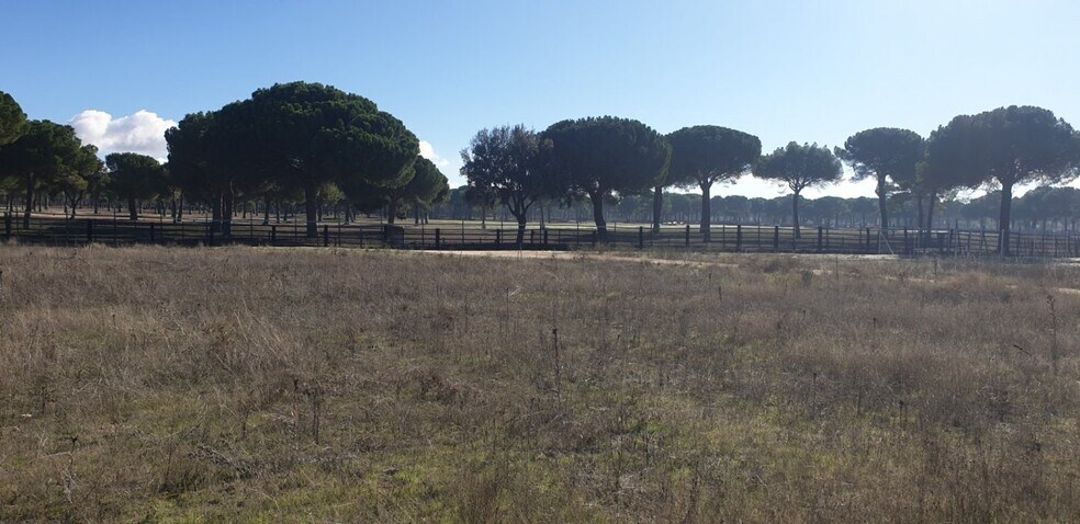 el, Sn, Aldeamayor de San Martín, Valladolid à vendre - Photo principale - Image 1 de 25