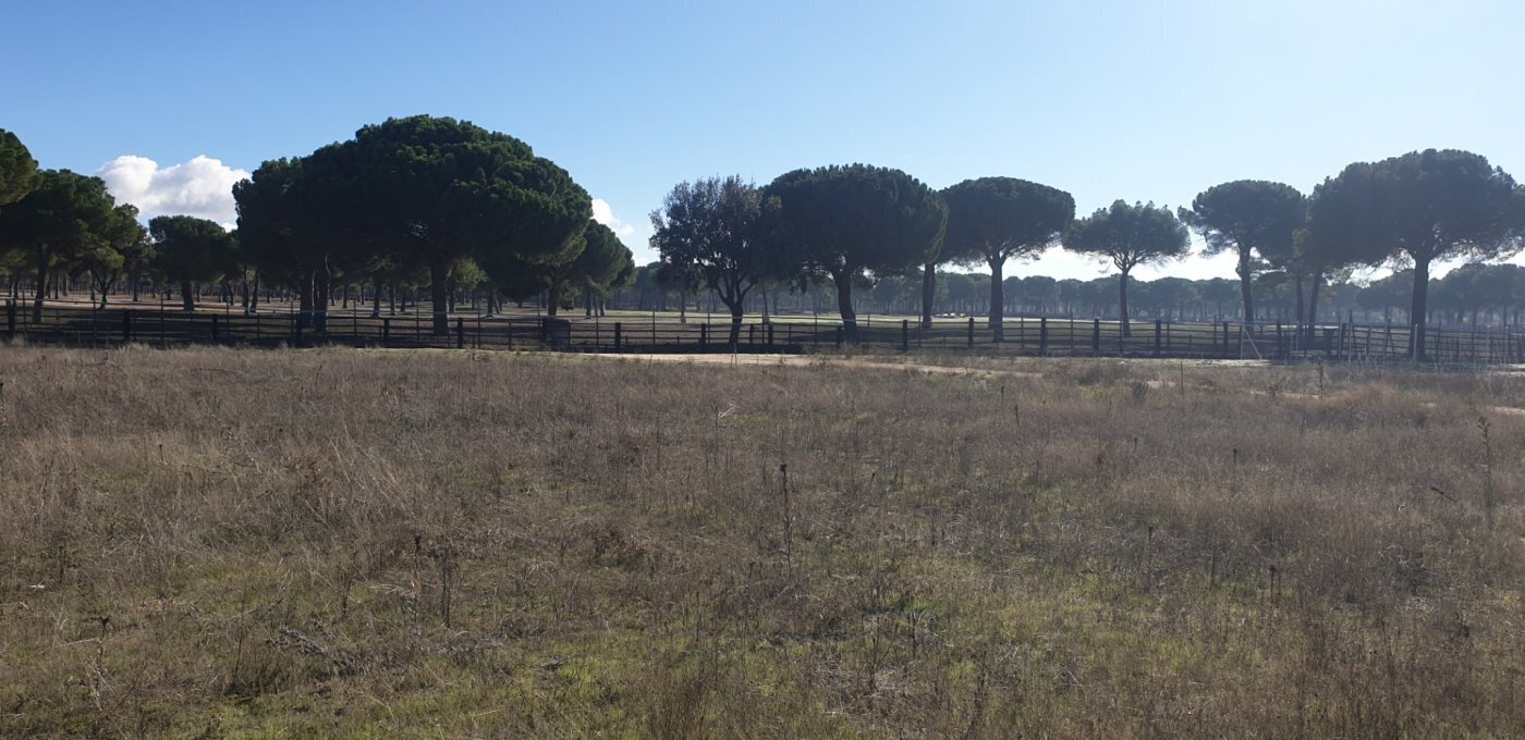 el, Sn, Aldeamayor de San Martín, Valladolid for sale Building Photo- Image 1 of 26