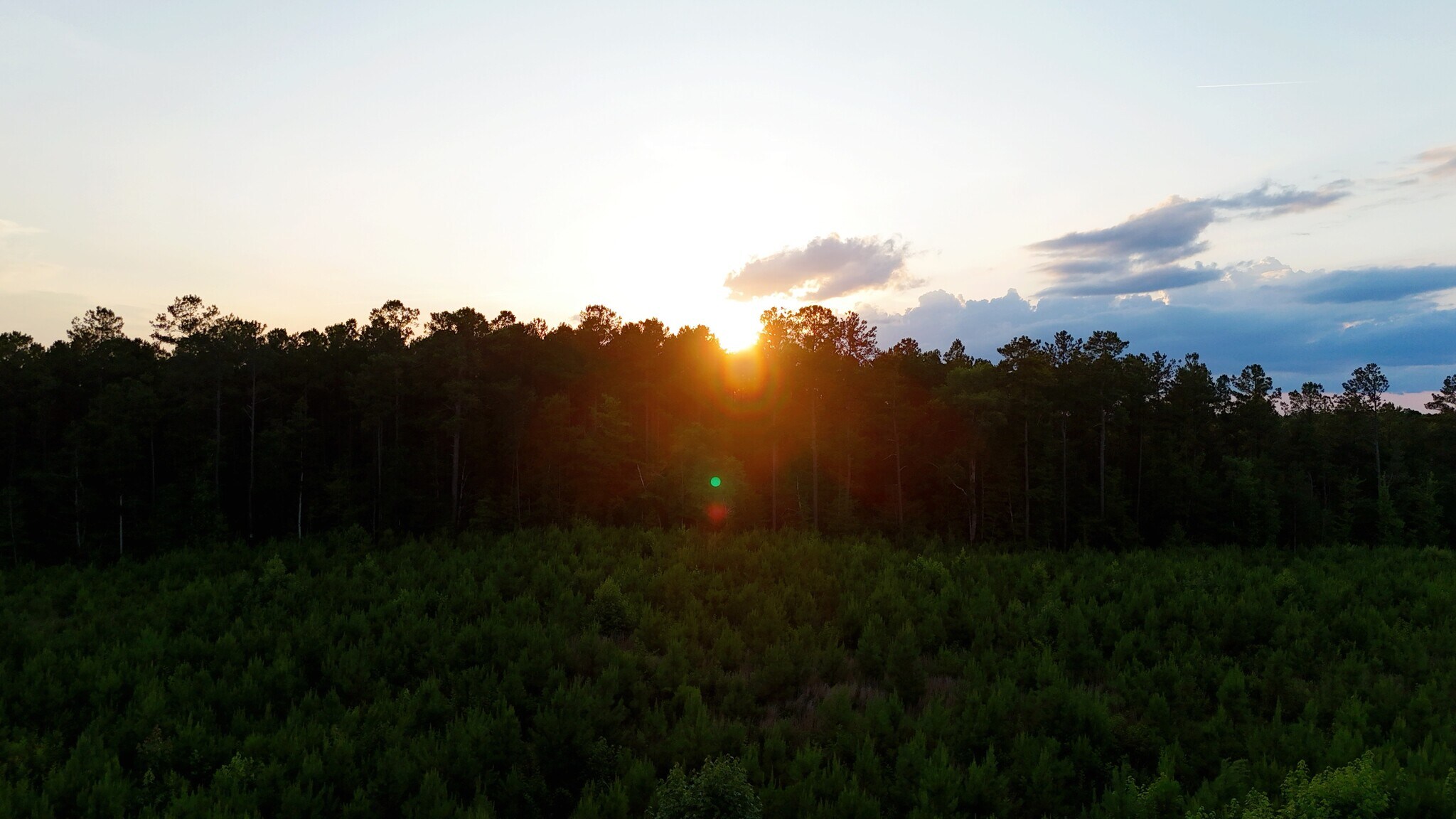 00 Kennedy Rd, Winnsboro, SC for sale Primary Photo- Image 1 of 24