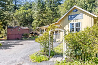 Plus de détails pour 380 Bohemian Hwy, Sebastopol, CA - Vente au détail à vendre